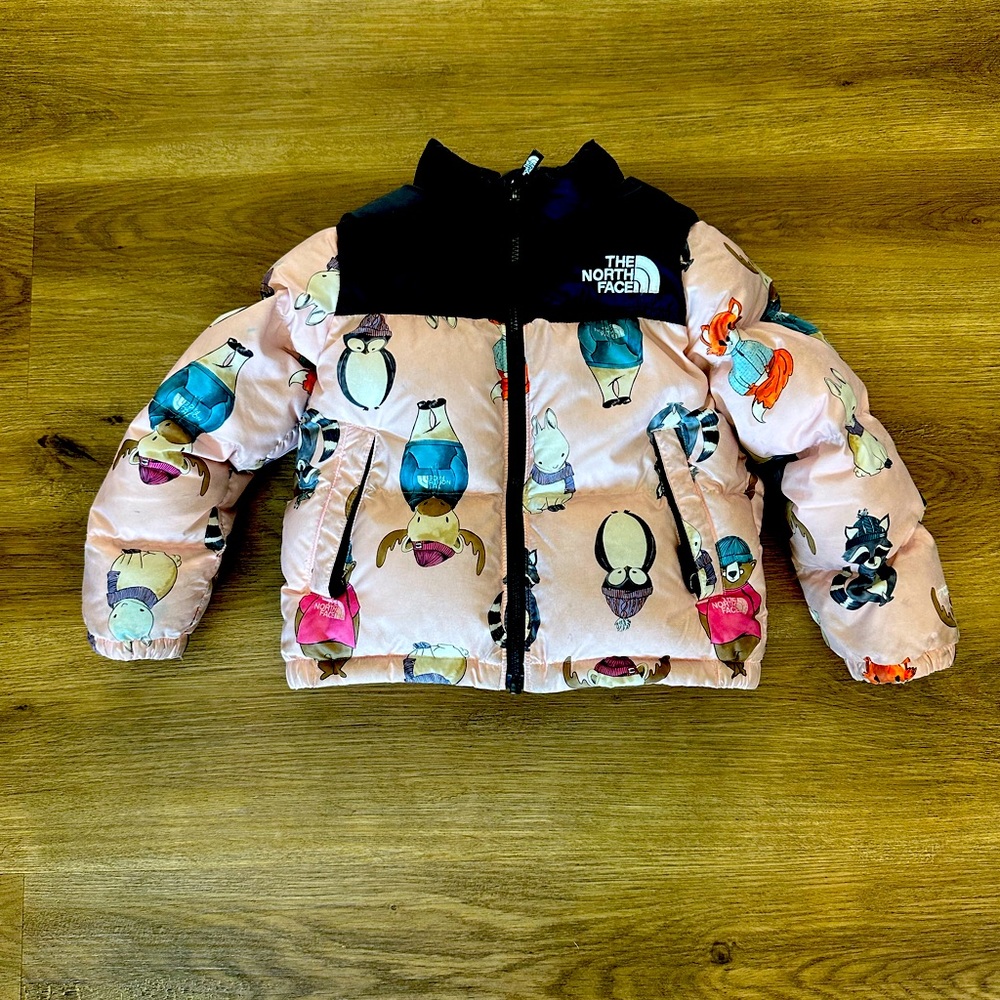 North face coat